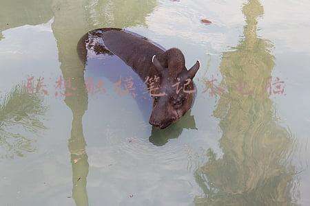联想触摸笔记本电脑