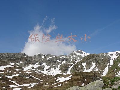 保险丝大小