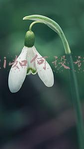 ui如何设计