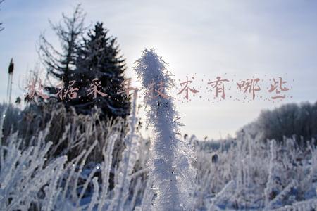 数据采集技术有哪些