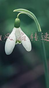cpu风扇转速高