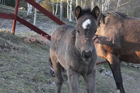 如何开广告公司(广告公司注册流程)
