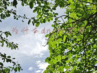为什么dnf打不开