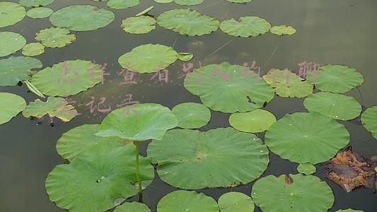 怎样查看别人的qq聊天记录