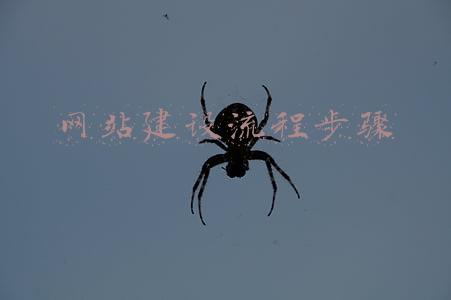 网站建设流程步骤