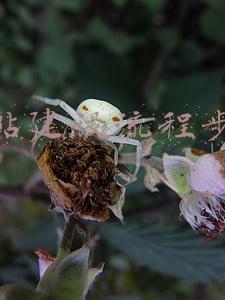 网站建设流程步骤