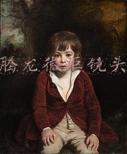 腾龙微距镜头哪个好(优缺点详解！腾龙28-200详细使用报告)