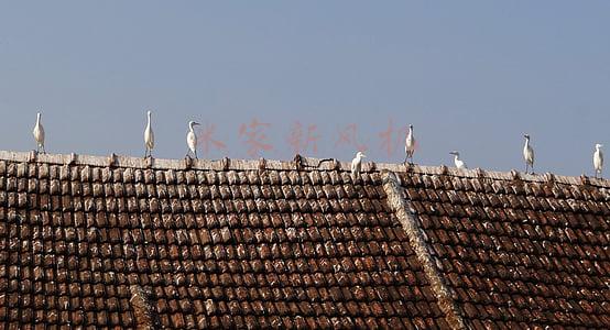 米家新风机a1(米家新风机A1 150风量评测：1599元掀起壁挂式新风机普及风潮)