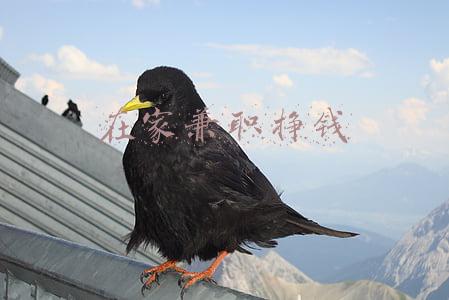在家兼职挣钱