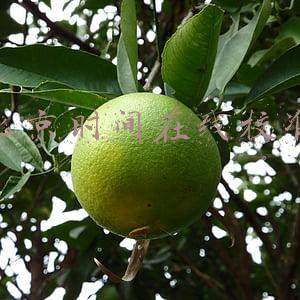 北京时间在线校准显示毫秒(探访中国科学院国家授时中心：北京时间从这里发布)