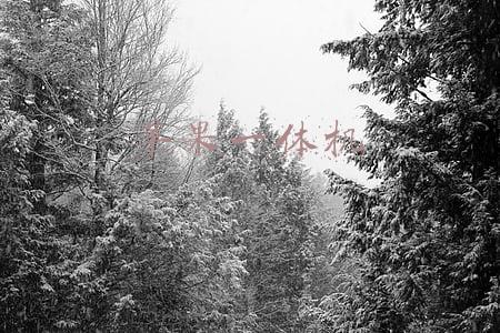 苹果一体机怎么装双系统(新华调查｜影响所有驾驶人，交通违法记分规则有重大调整)