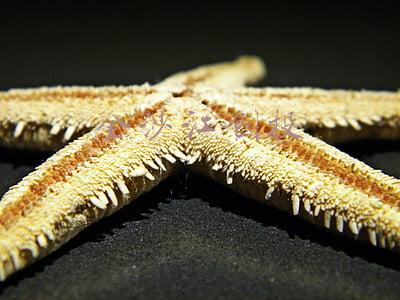 金沙江创投朱啸虎(用户15亿押金、投资者百亿打水漂，只有朱啸虎从小黄车赚了钱？)
