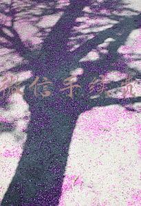 微信手续费