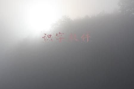 识字软件