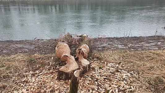 免费网游