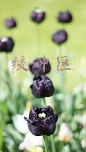 缓冲区分析(java中缓冲区(Buffer)核心方法以及图解剖析)