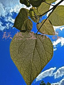 联想显示器菜单已锁怎么解锁(淘宝的这行小字，可救命)
