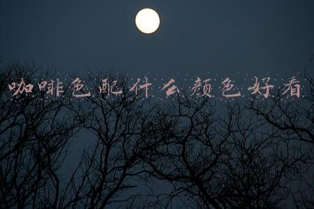 咖啡色配什么颜色好看