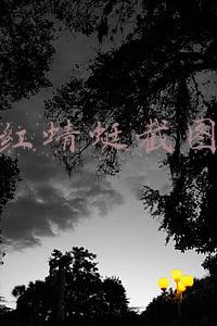 红蜻蜓截图