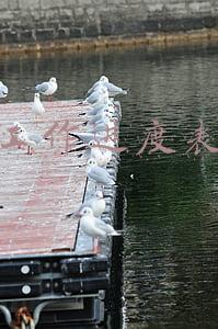 工作进度表