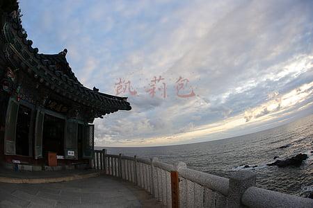 凯莉包