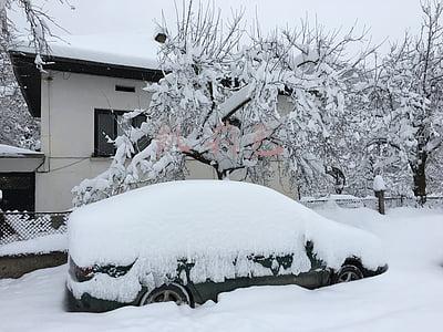 凯莉包