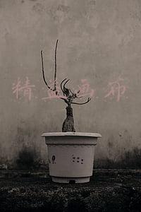 精益画布