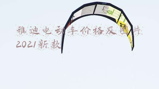 雅迪电动车价格及图片2021新款