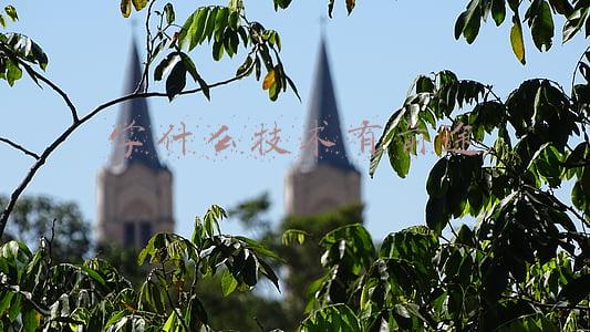 学什么技术有前途