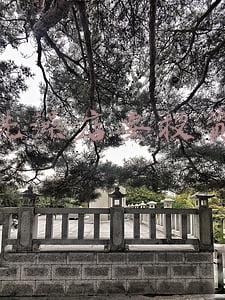 婴幼儿洗澡店怎么样(开个婴儿洗澡店好不好)
