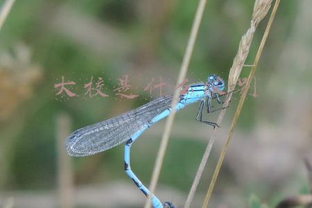 大校是什么级别的军官工资(中国军人薪酬结构、水平与调薪幅度)