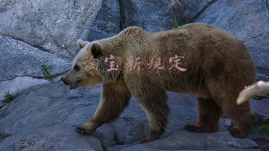 淘宝新规定