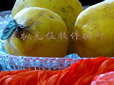 虚拟卡充值平台(乘车码标准版与定制版)