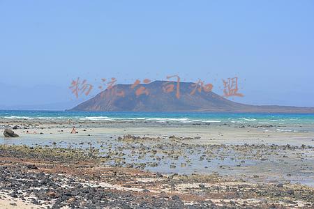 物流公司加盟
