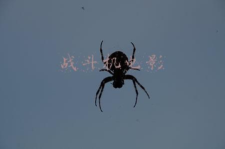 战斗机电影