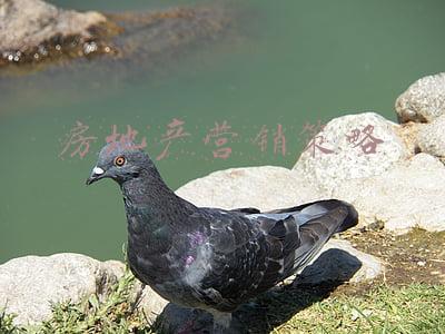 房地产营销策略分析毕业论文(创业日志10.13日 关于房地产营销的思考)