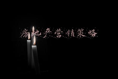 房地产营销策划方案怎么做(345地产营销策划方案（33份）)