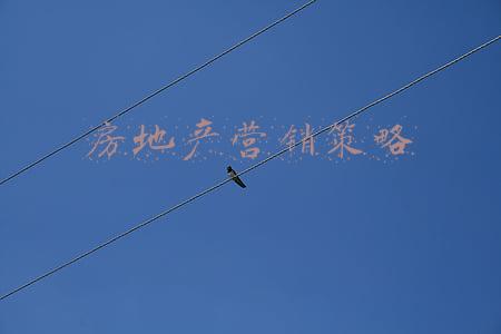房屋销售方案(智云通CRM：如何制作一份好的销售方案？)