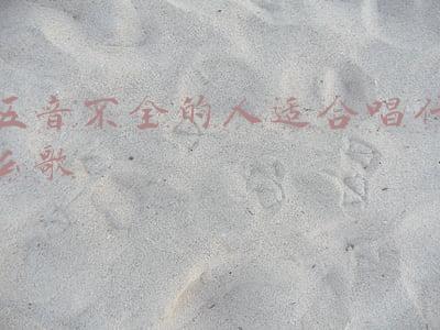 最容易唱的歌五音不全的人适合唱什么歌(五音不全还能学习唱歌吗？唱歌好是不是一种天赋技能？)