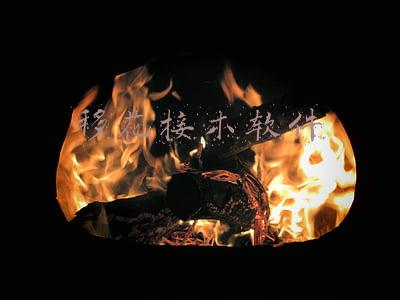 移花接木软件视频(移花接木，视频抠像一起玩)