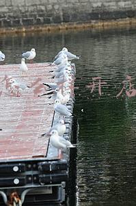 怎么样开店