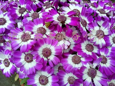 泡温泉要准备什么