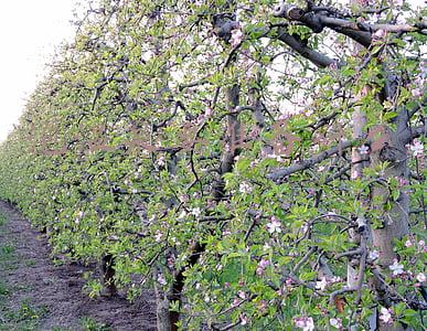 泡温泉要准备什么