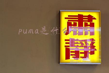 puma是什么意思