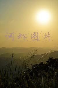 河虾图片大全大图片大全(河虾的做法大全 推荐苹果蒜香烤虾)