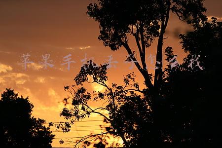 苹果手机丢了怎么找到手机所在位置(iPhone遗失别慌，向朋友借手机开启这个功能追踪)