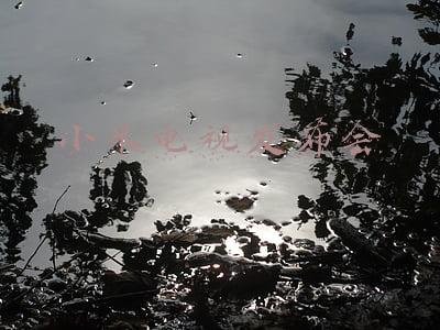 小米电视发布会