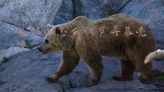 笔记本怎么调节屏幕亮度