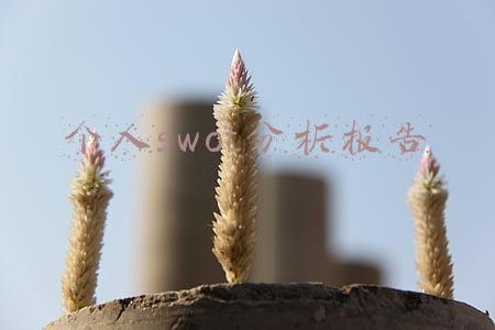 个人swot分析报告医药(复星医药SWOT分析)