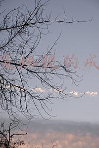 丹霞地貌的成因